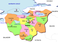 Bursa İl ve İlçe Başkanlığı